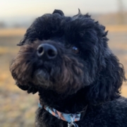 Friederika Strasser - Lucky